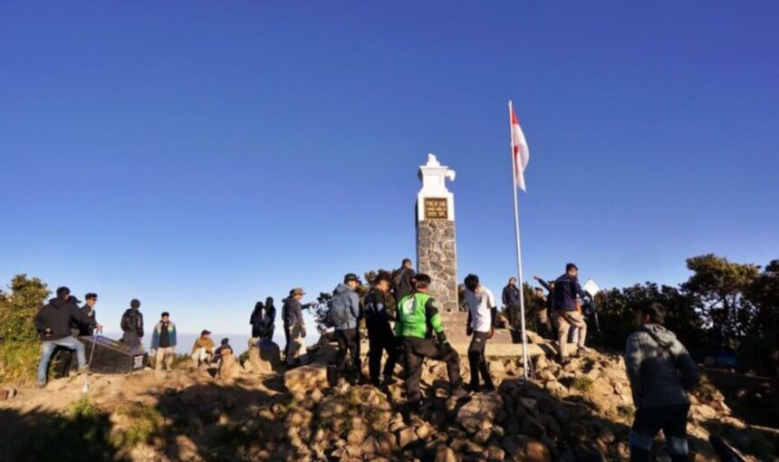 Mountain Guide / adventure